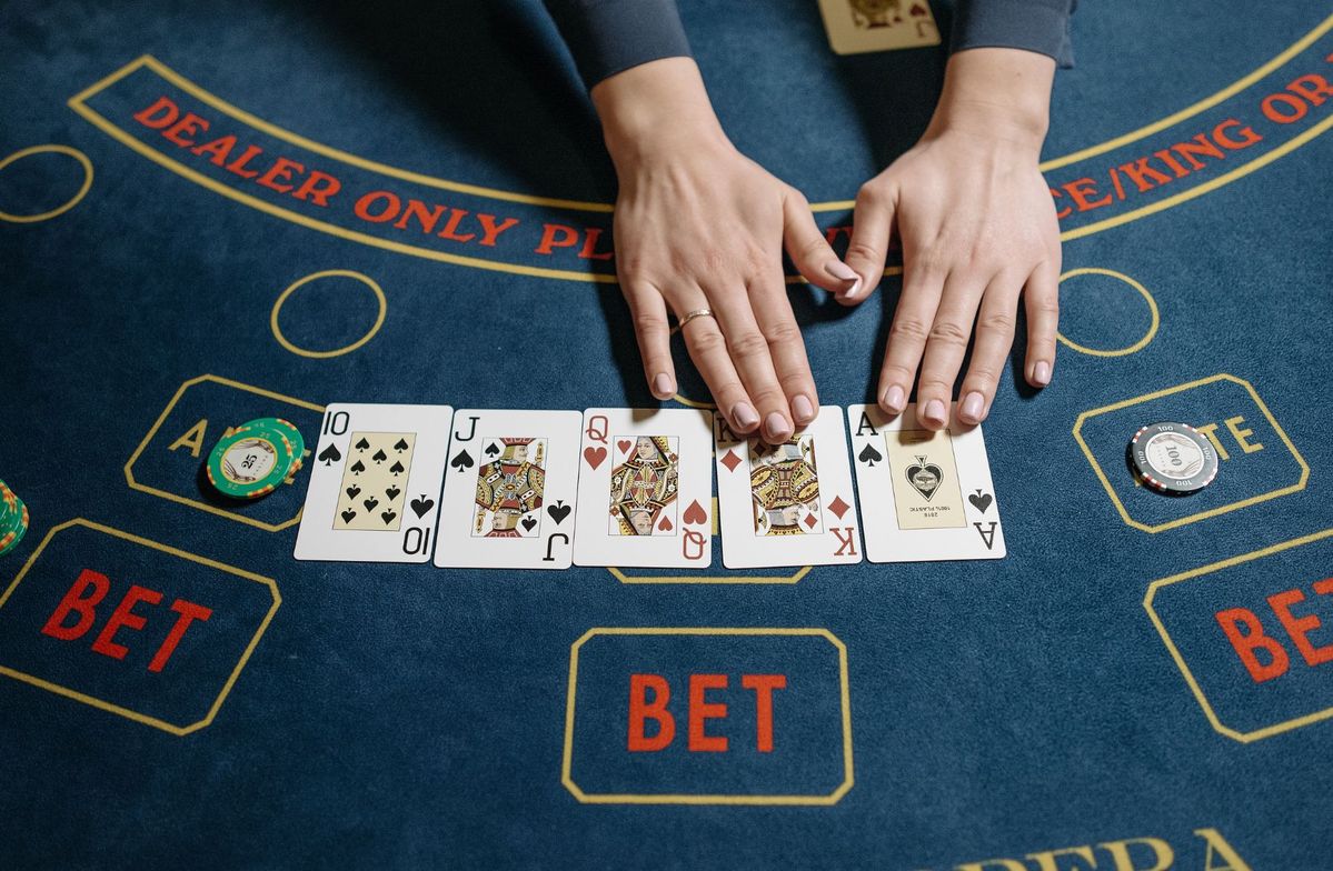 3 Lucky Piggy Live Betting